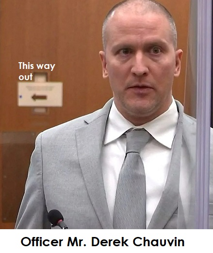 Police Officer Mr. Derek Chauvin